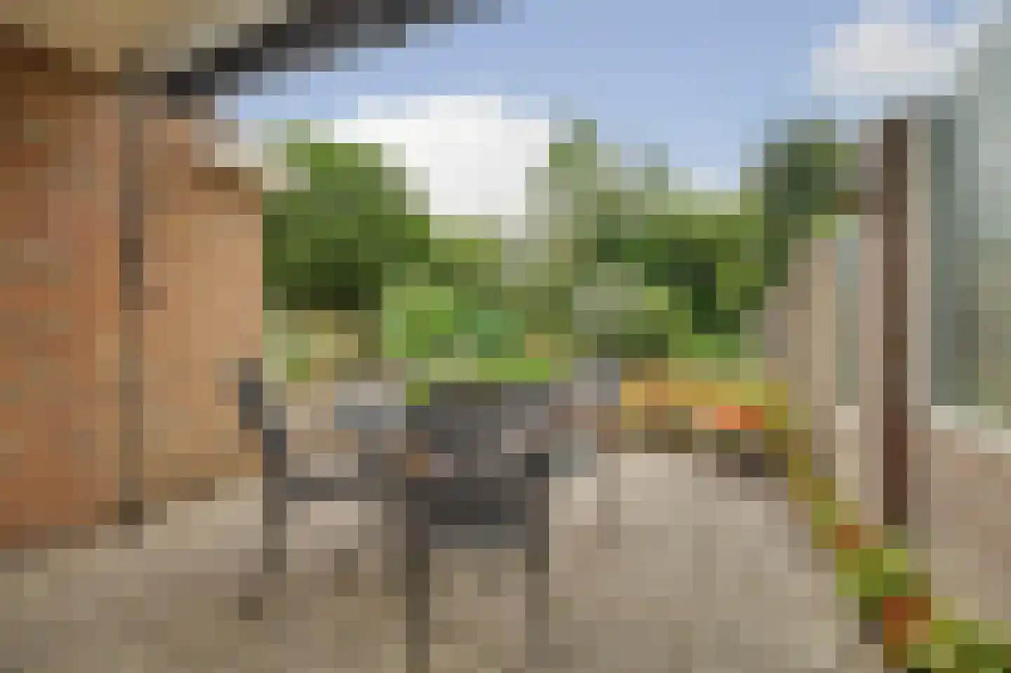 Esdoornstraat 46 's-Gravenpolder thumbnail 32