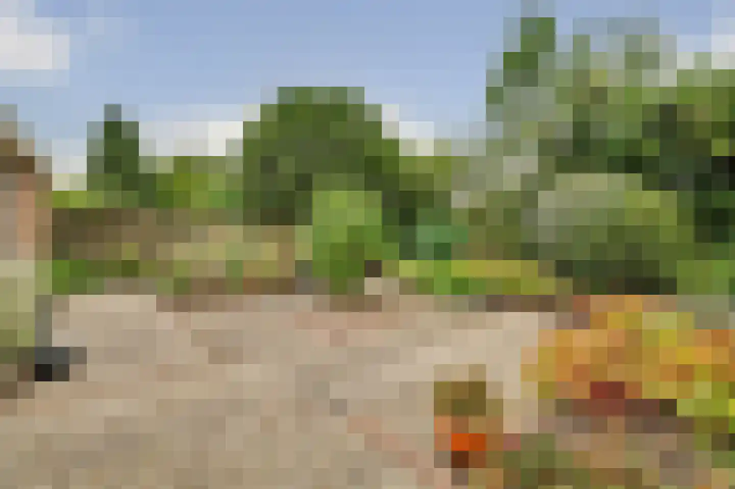 Esdoornstraat 46 's-Gravenpolder thumbnail 33