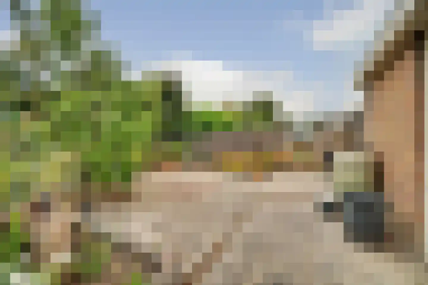 Esdoornstraat 46 's-Gravenpolder thumbnail 34
