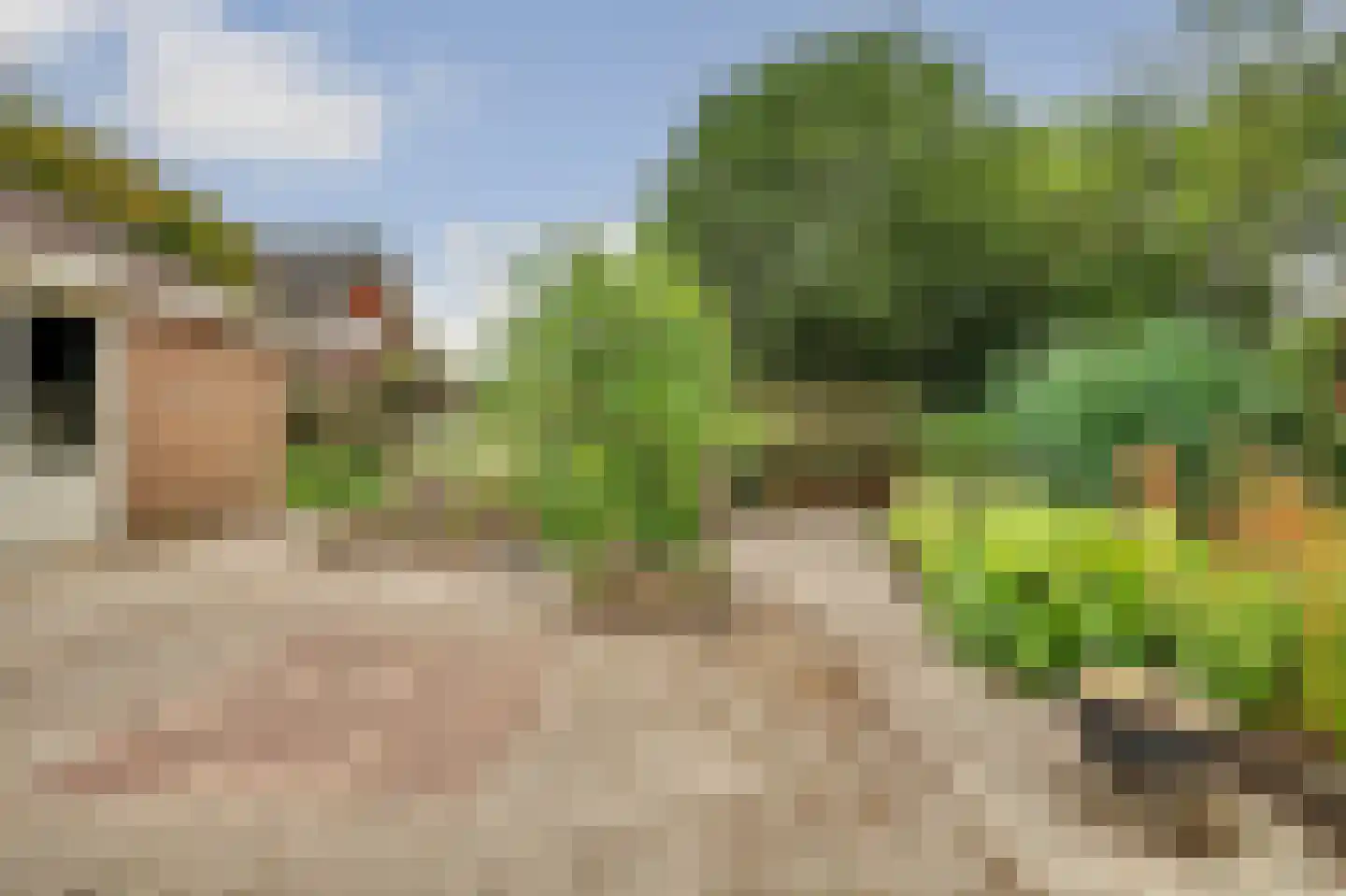 Esdoornstraat 46 's-Gravenpolder thumbnail 35