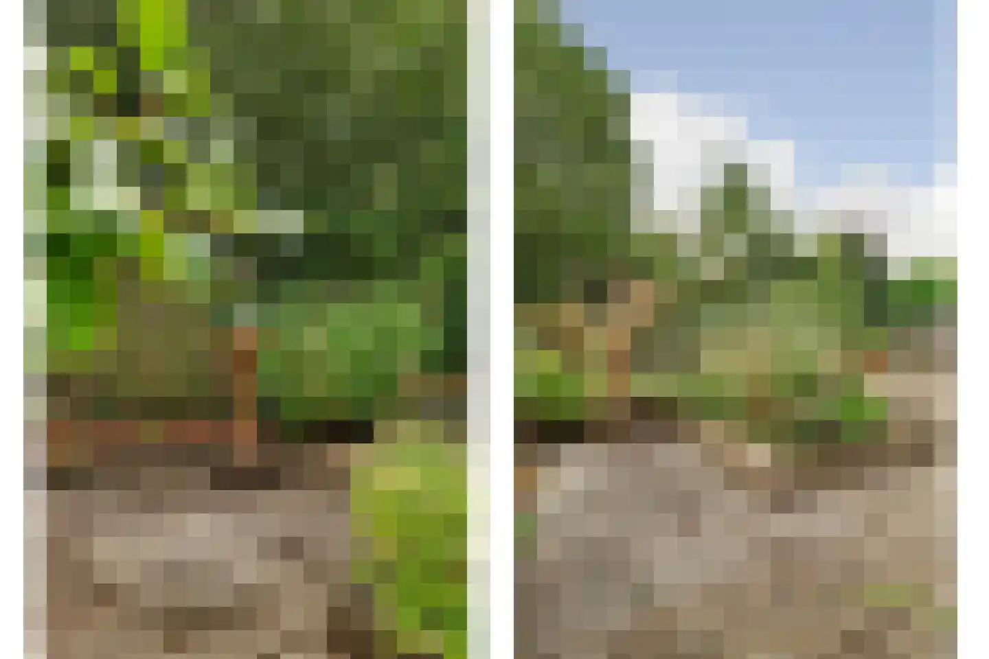 Esdoornstraat 46 's-Gravenpolder thumbnail 36