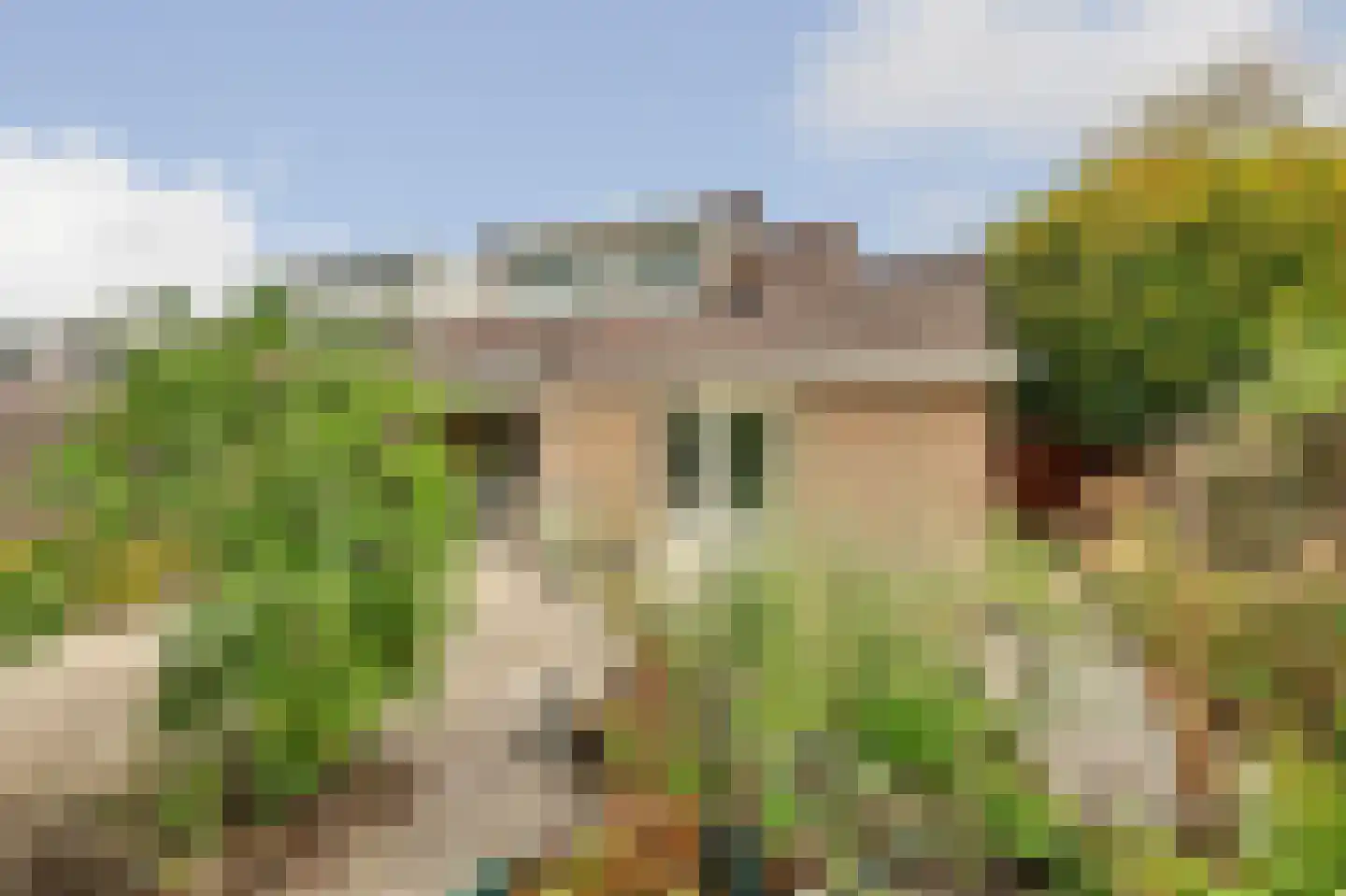 Esdoornstraat 46 's-Gravenpolder thumbnail 37