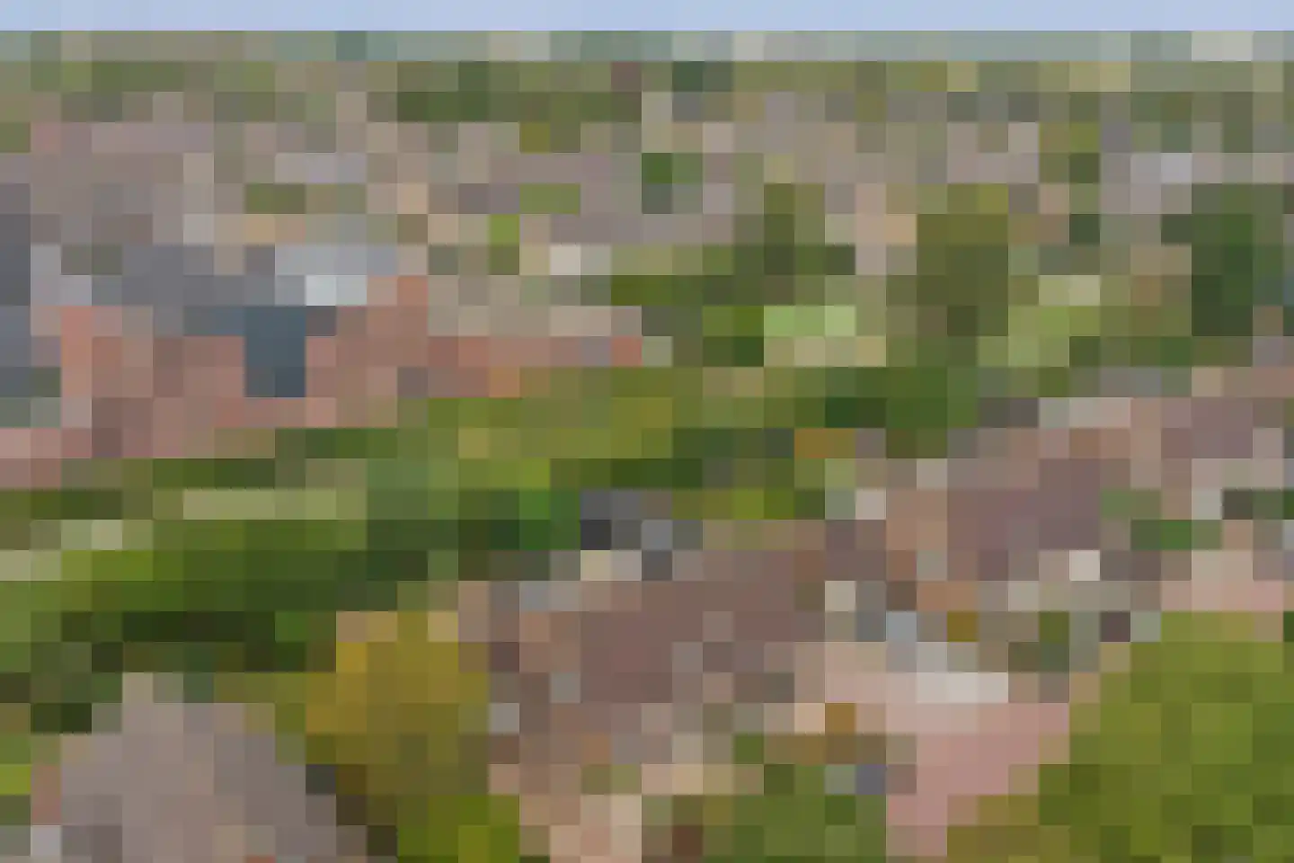 Esdoornstraat 46 's-Gravenpolder thumbnail 46
