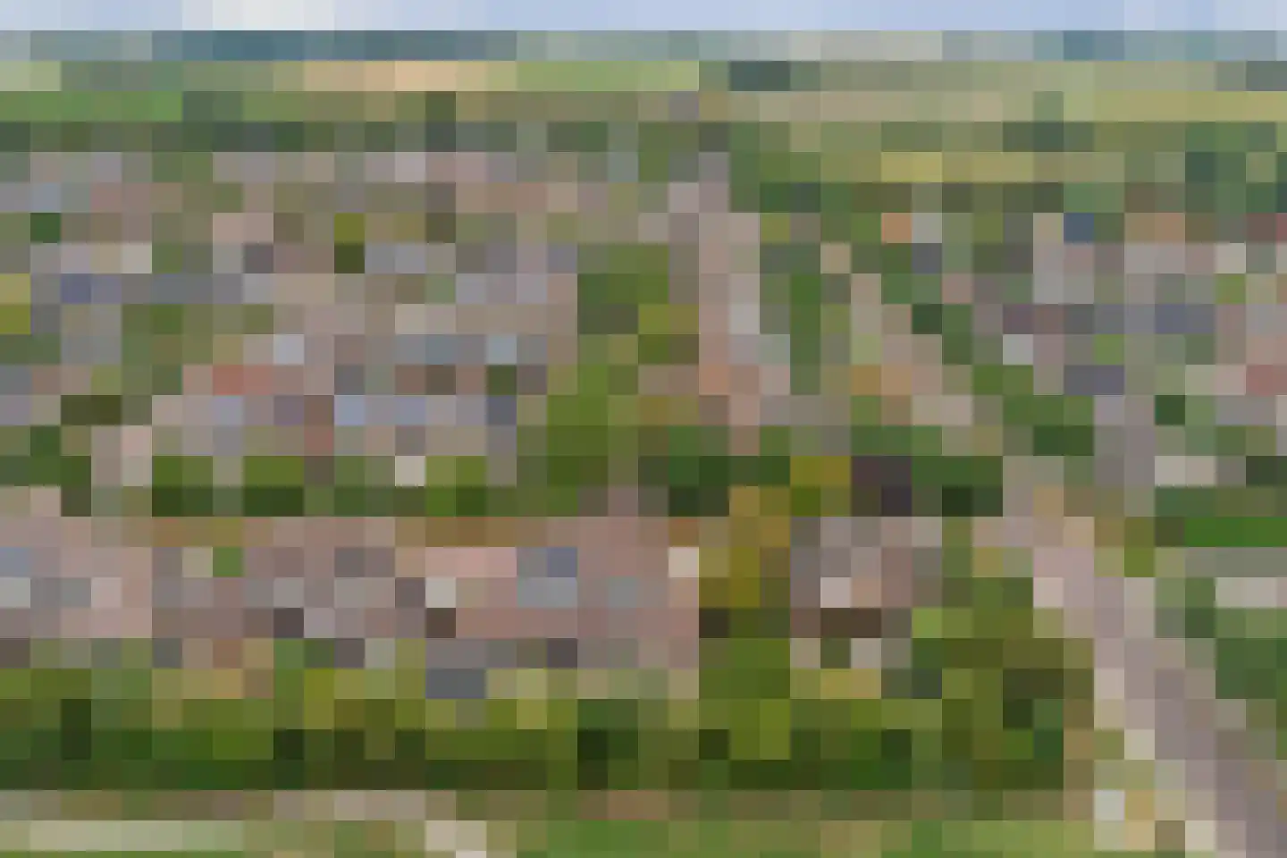 Esdoornstraat 46 's-Gravenpolder thumbnail 47