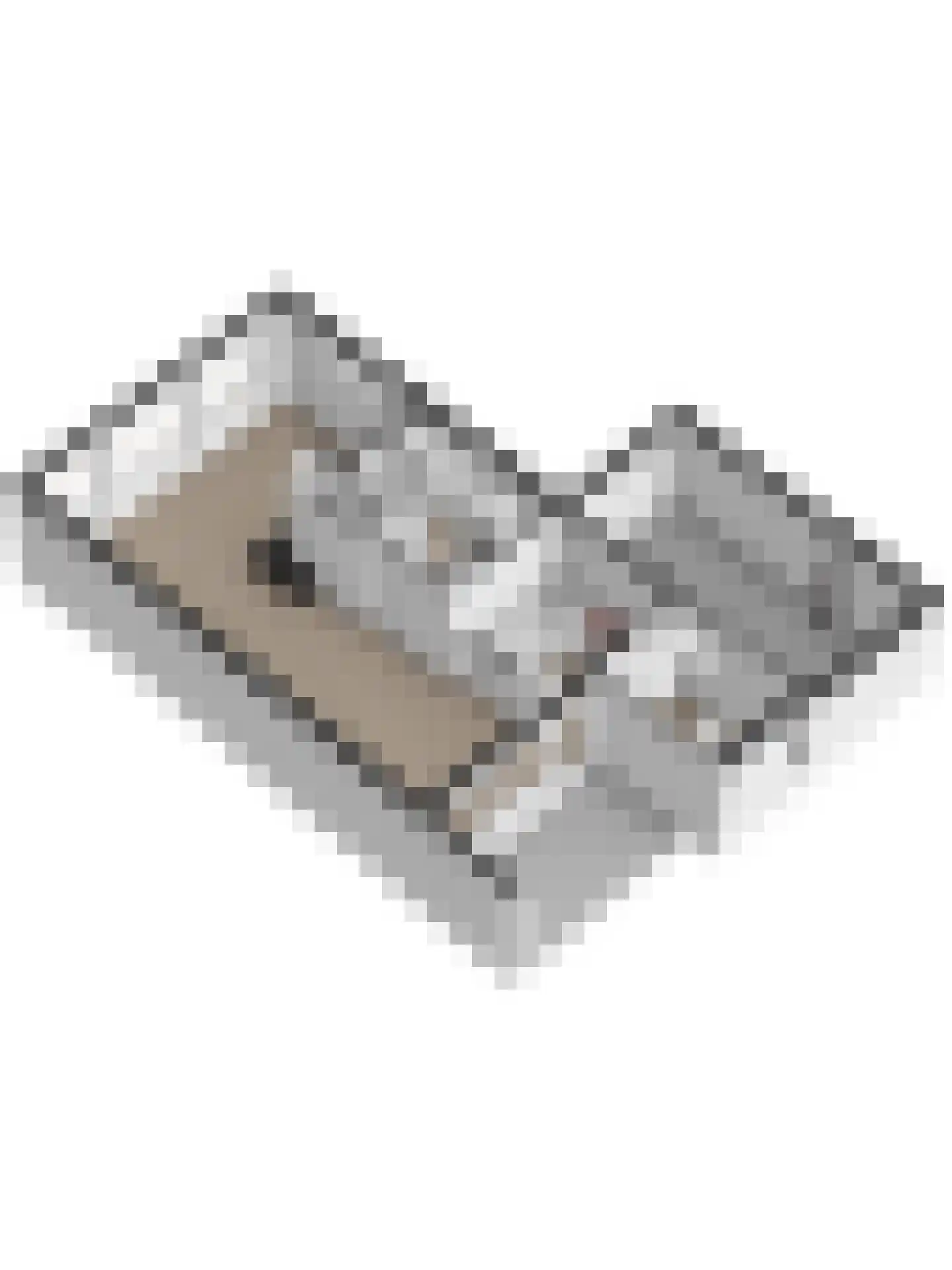 Esdoornstraat 46 's-Gravenpolder thumbnail 53