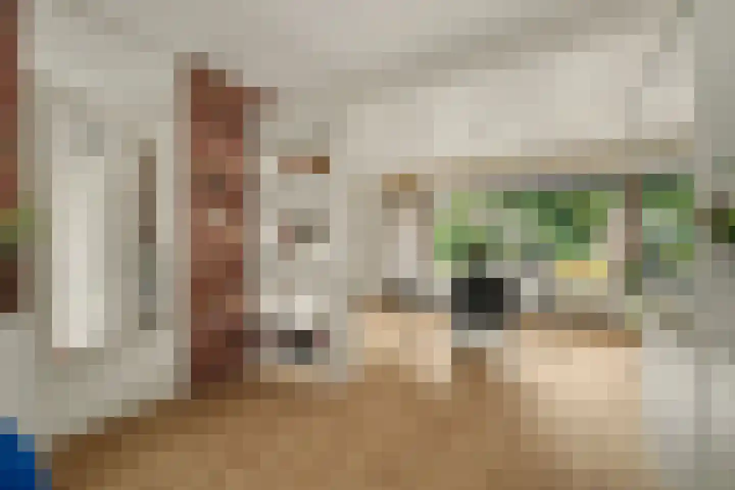 Esdoornstraat 46 's-Gravenpolder thumbnail 8
