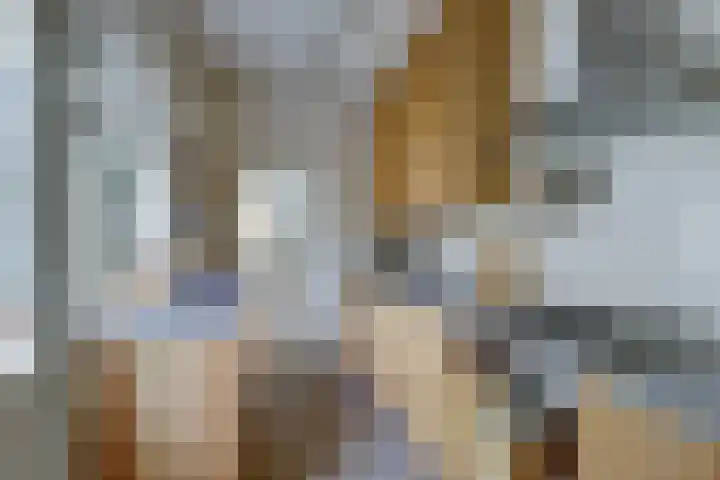 Esdoornstraat 46 Utrecht thumbnail 13