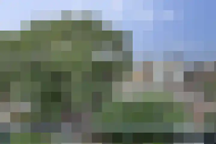 Esdoornstraat 46 Utrecht thumbnail 33