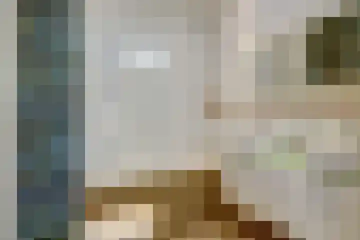 Esdoornstraat 46 Utrecht thumbnail 6