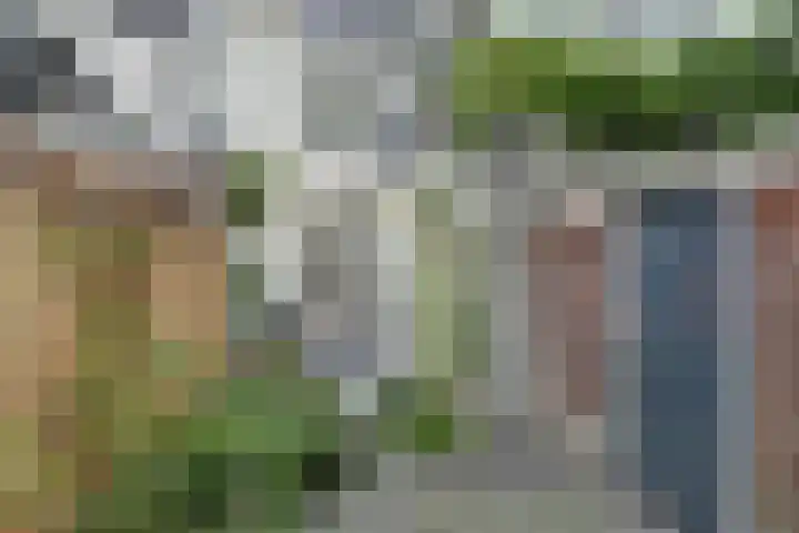 Esdoornstraat 46 Utrecht thumbnail 7