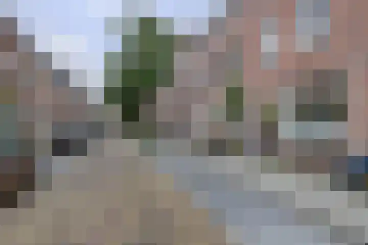 Esdoornstraat 46 Utrecht thumbnail 8