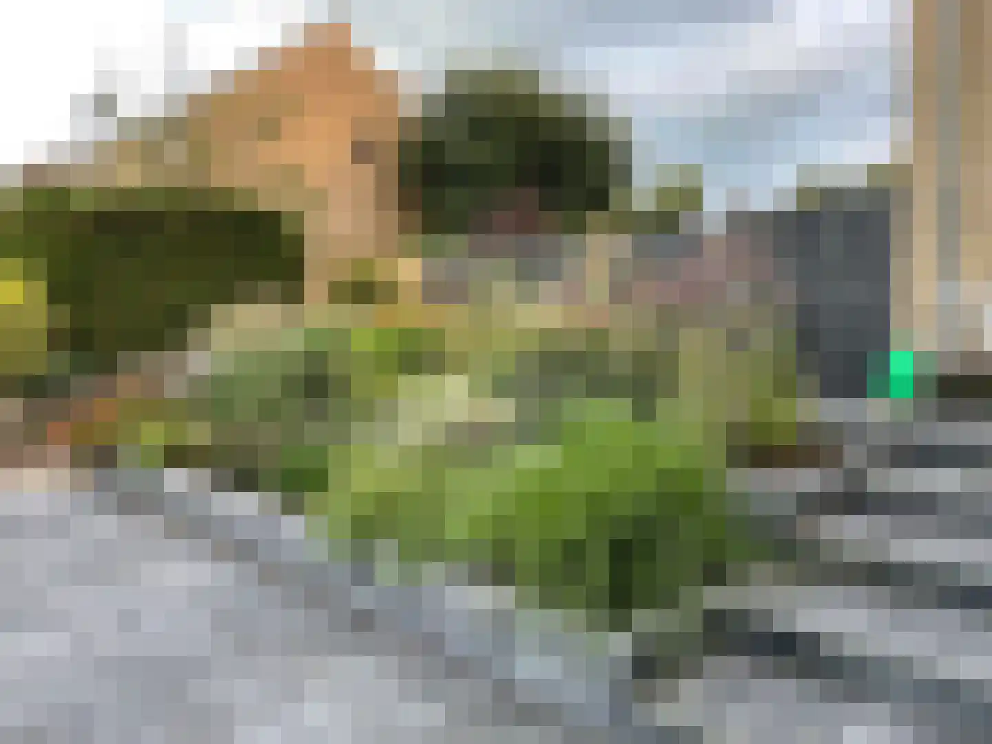 Esdoornstraat 47 Haastrecht thumbnail 33