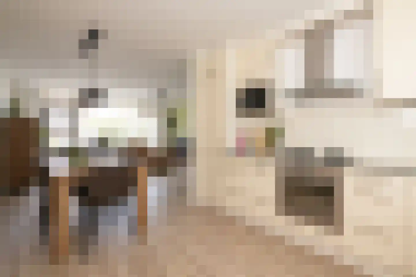Esdoornstraat 49 Schoonhoven thumbnail 22