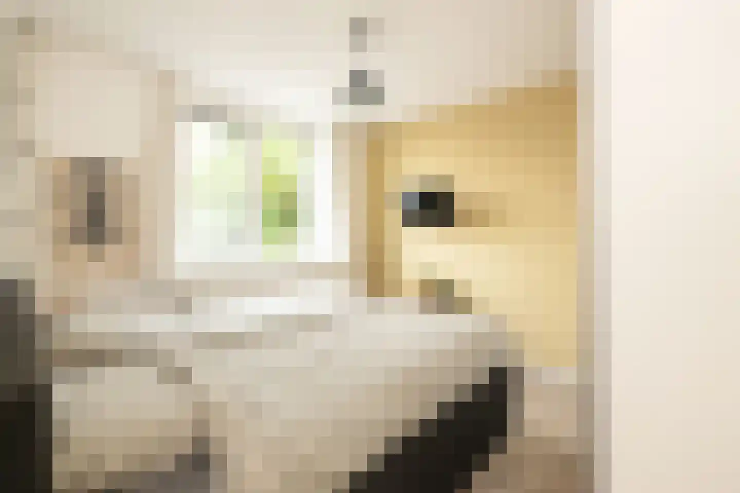 Esdoornstraat 49 Schoonhoven thumbnail 29