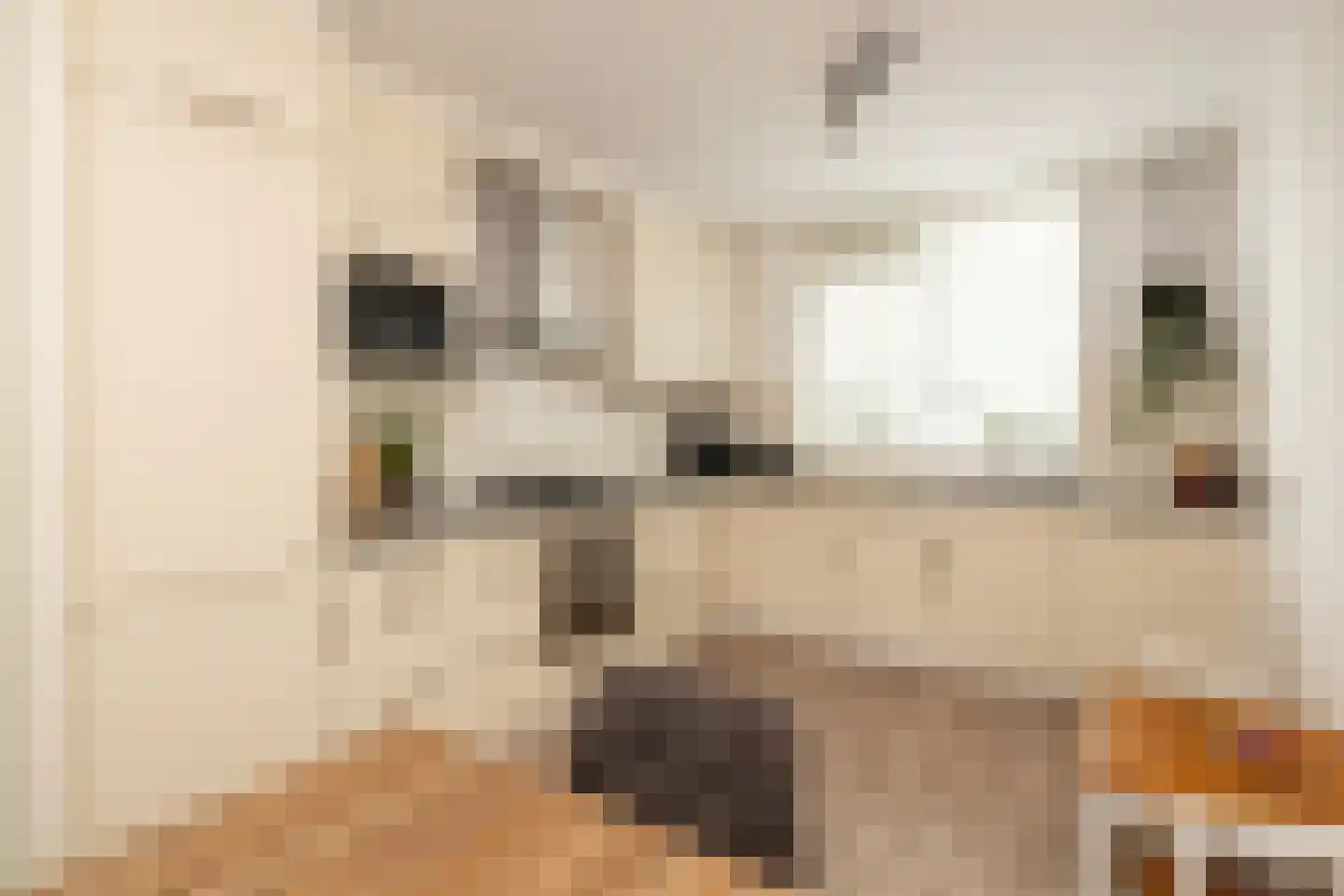Esdoornstraat 49 Schoonhoven thumbnail 4