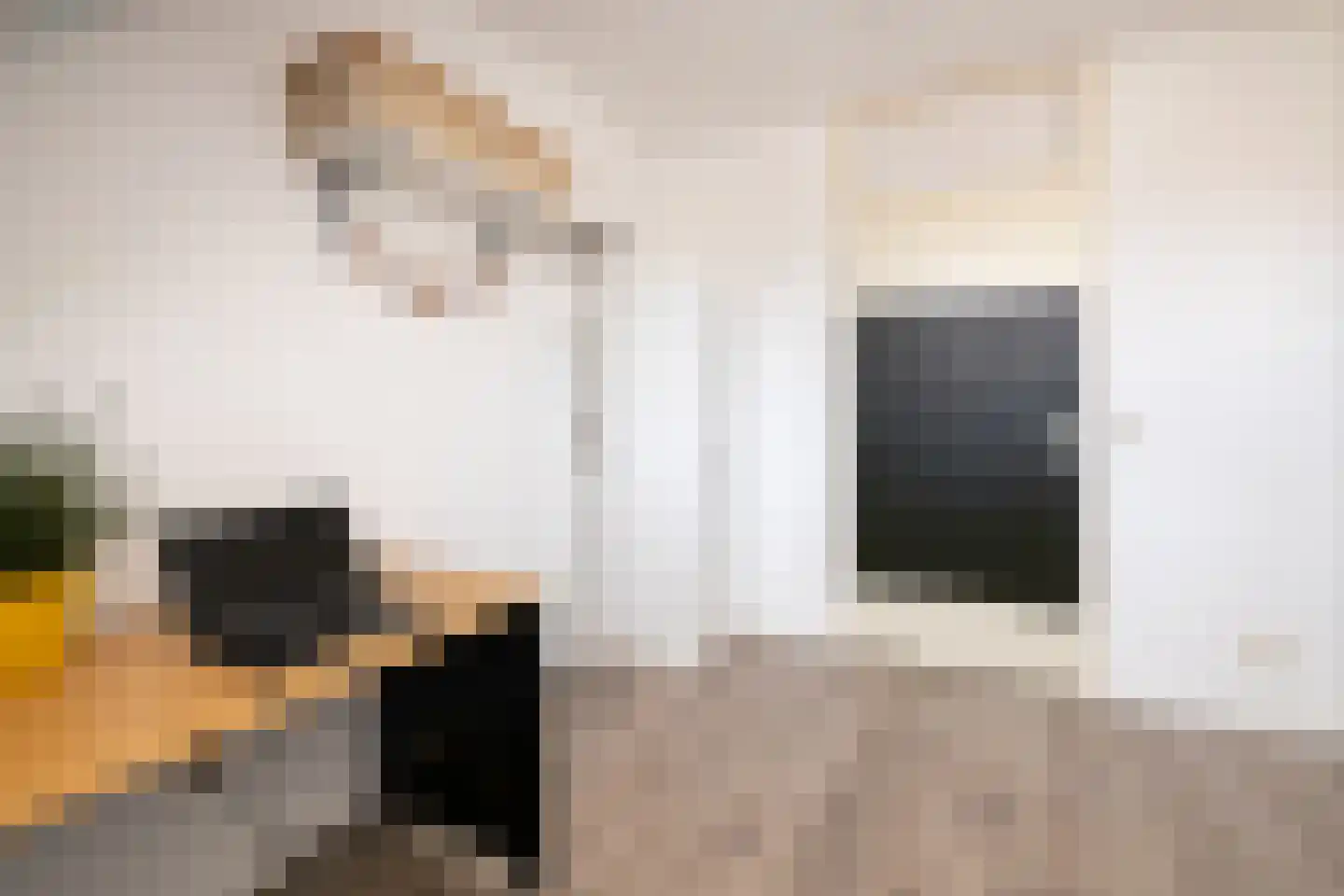 Esdoornstraat 49 Schoonhoven thumbnail 43