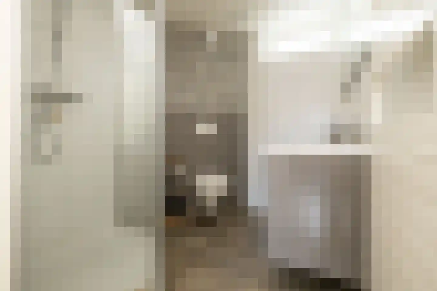 Esdoornstraat 49 Schoonhoven thumbnail 5