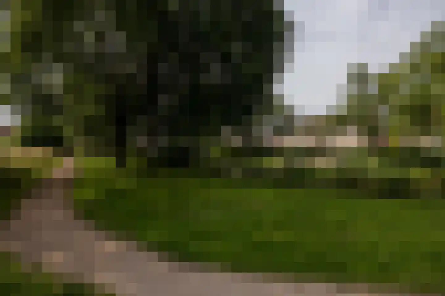Esdoornstraat 49 Schoonhoven thumbnail 7