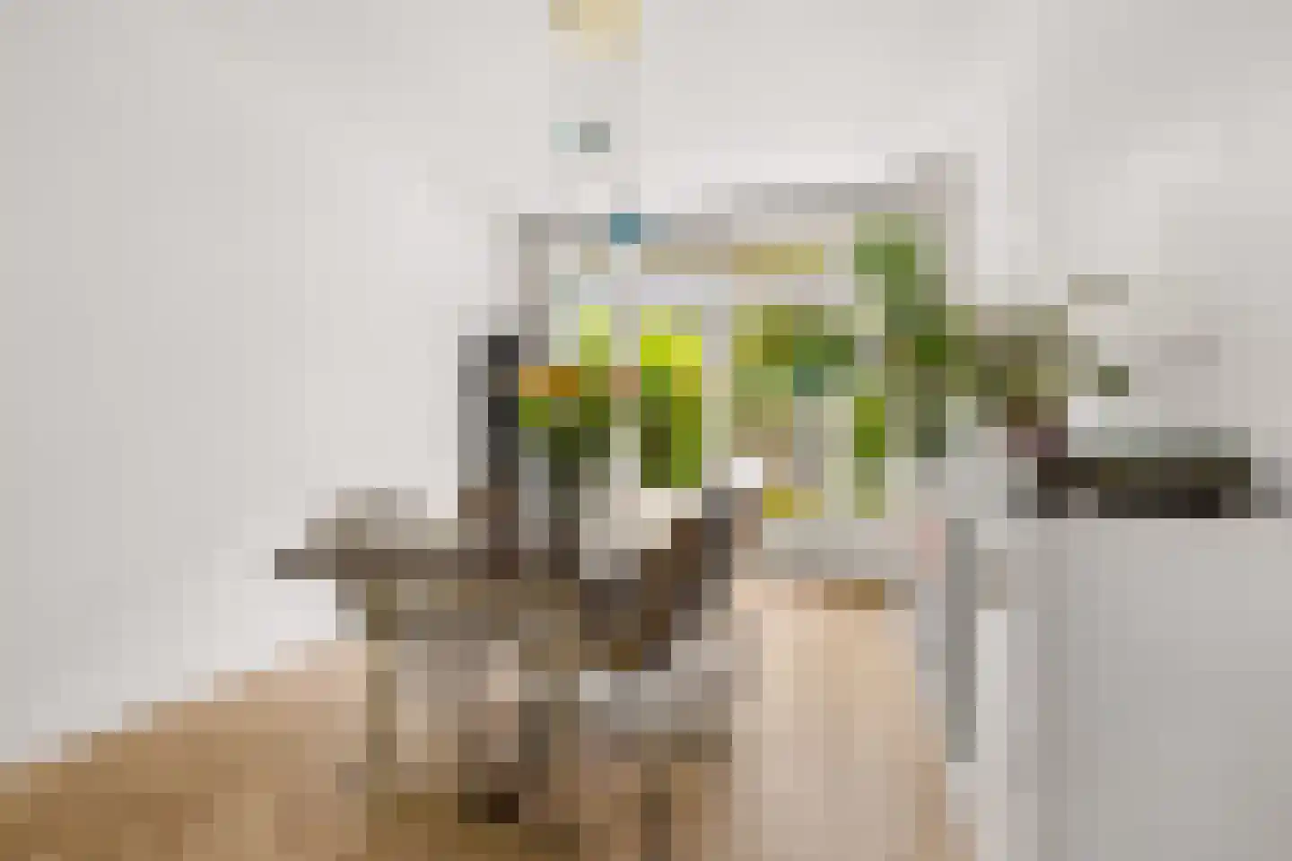 Esdoornstraat 5 Utrecht thumbnail 10