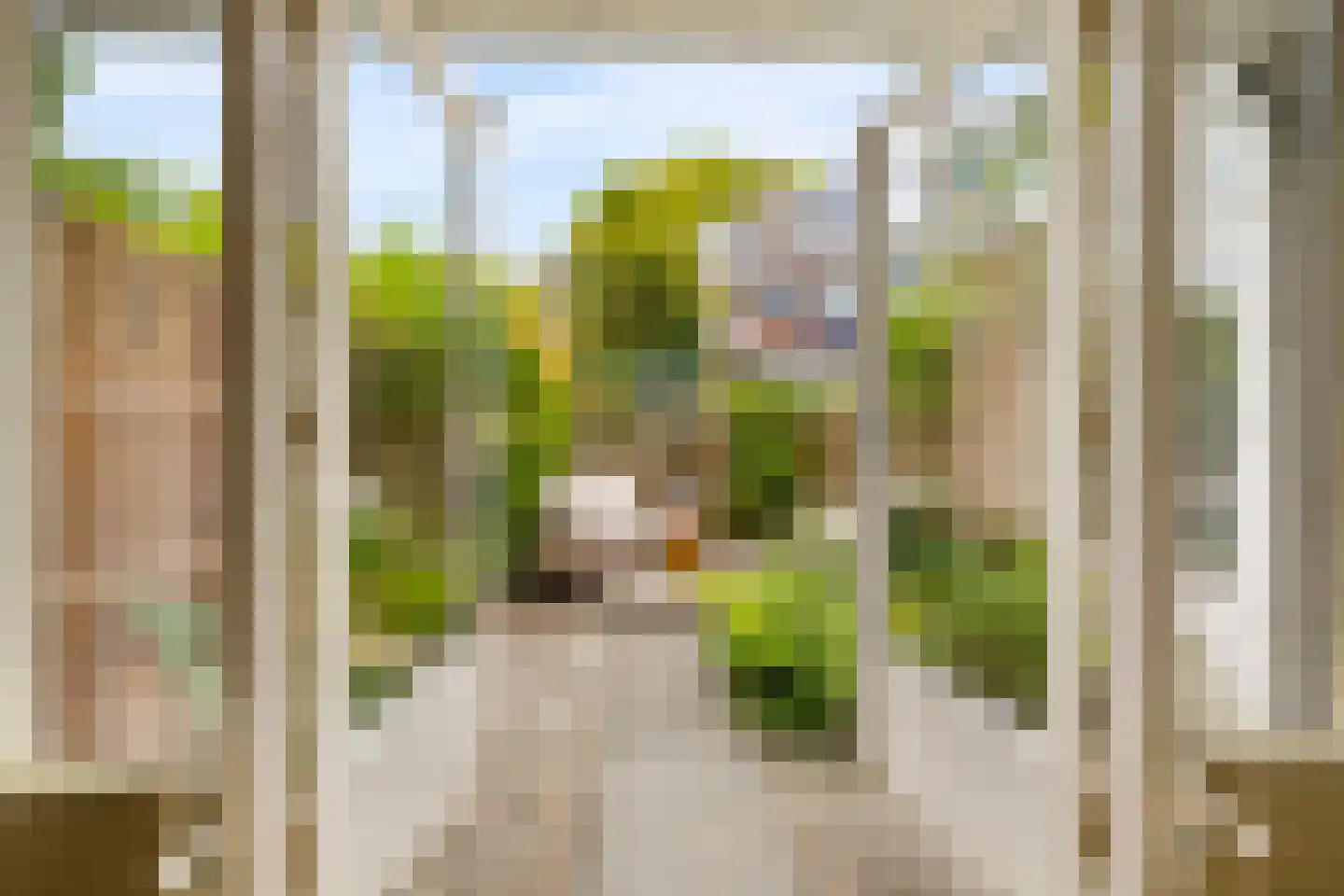 Esdoornstraat 5 Utrecht thumbnail 13