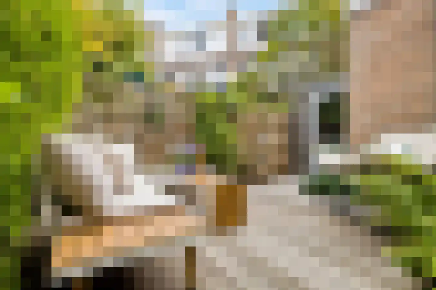 Esdoornstraat 5 Utrecht thumbnail 15