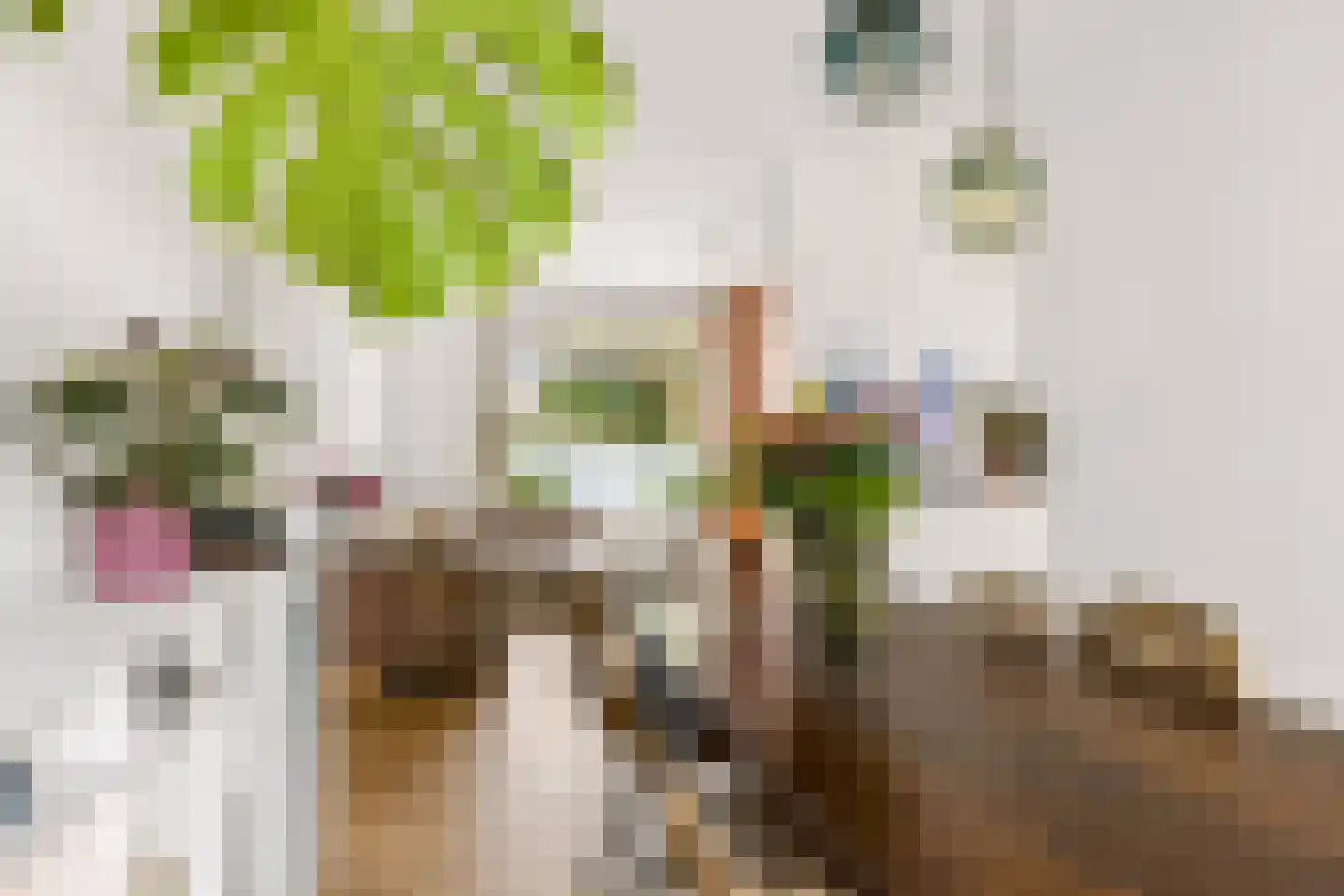 Esdoornstraat 5 Utrecht thumbnail 17