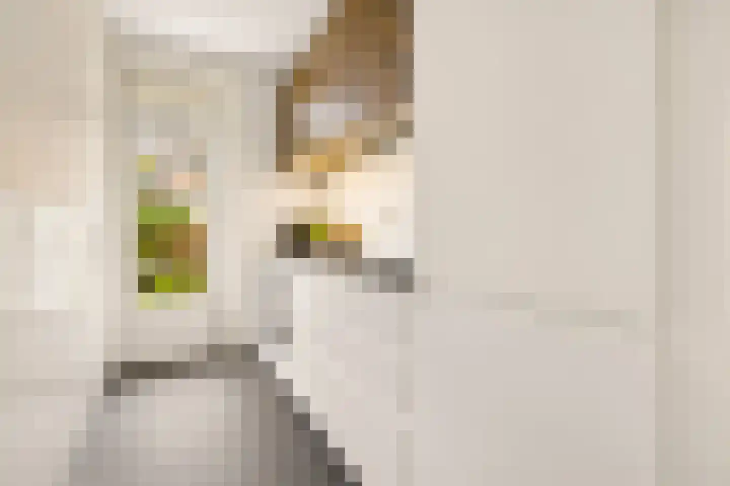 Esdoornstraat 5 Utrecht thumbnail 19