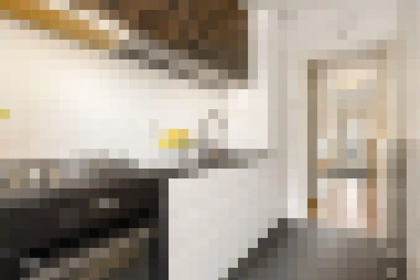 Esdoornstraat 5 Utrecht thumbnail 21