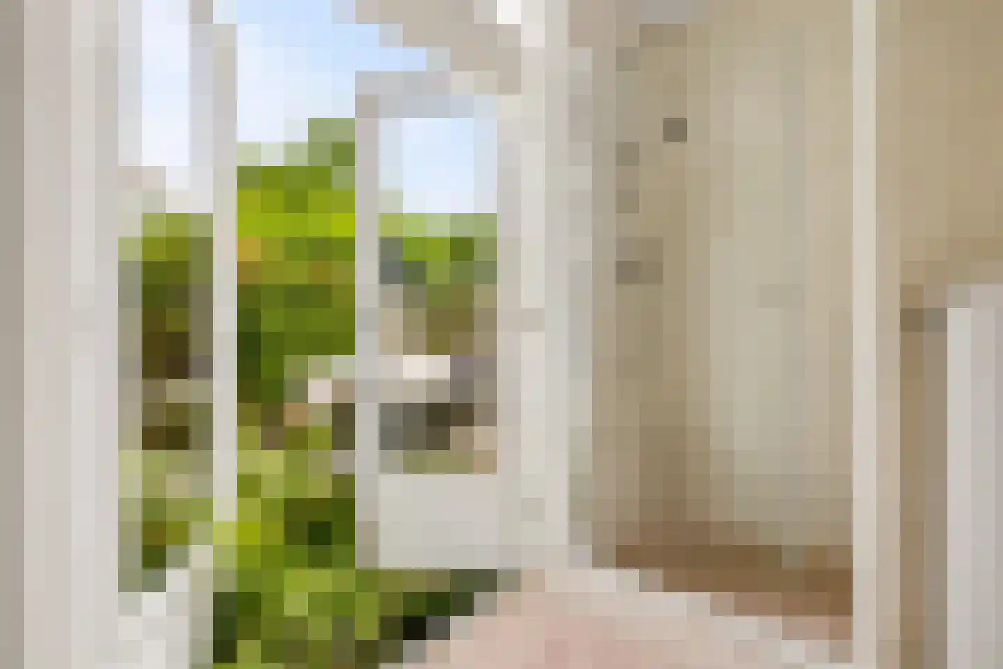 Esdoornstraat 5 Utrecht thumbnail 26