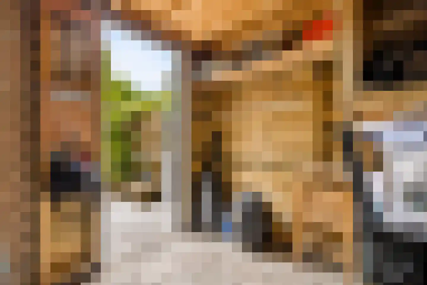 Esdoornstraat 5 Utrecht thumbnail 27
