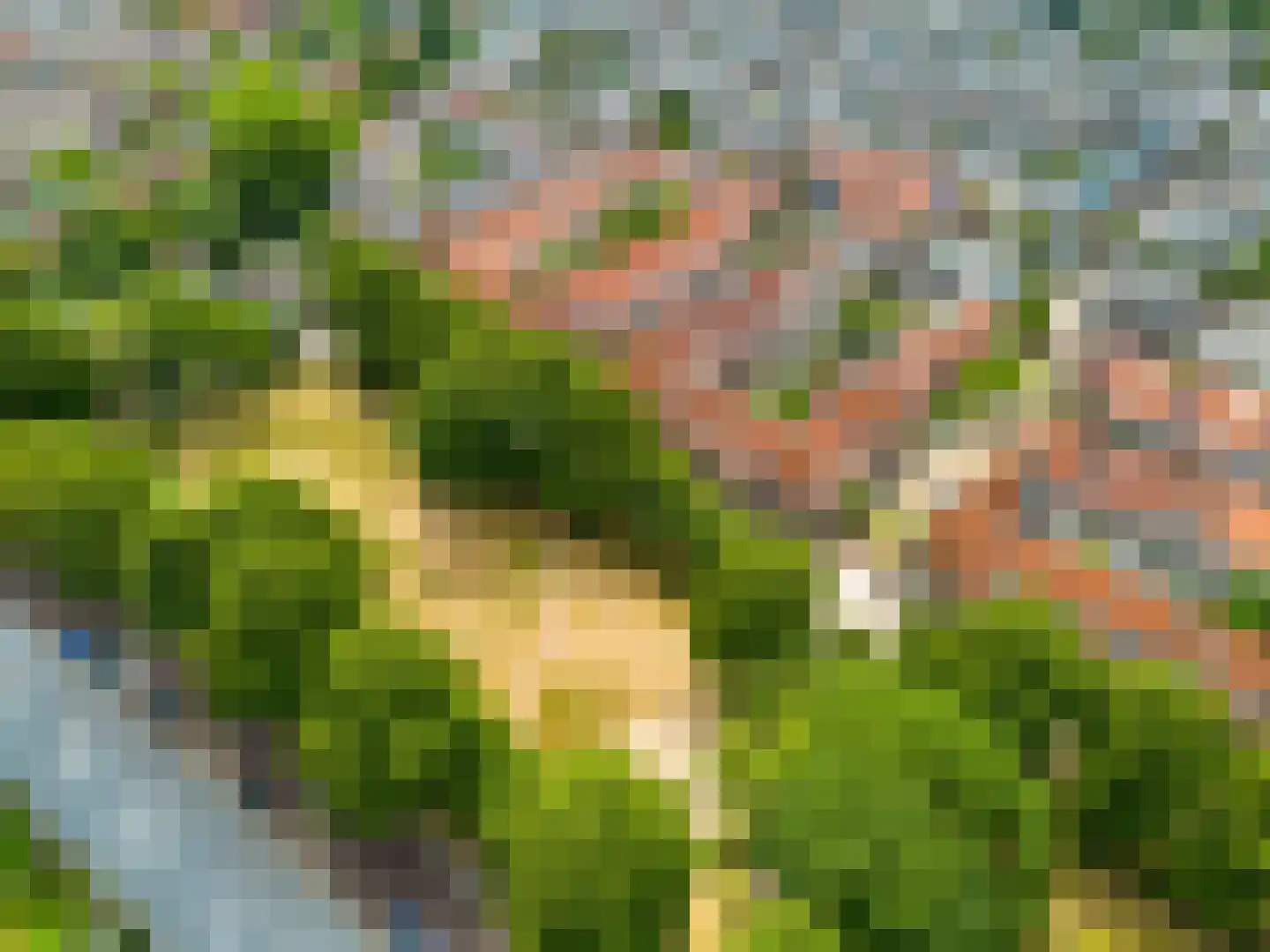 Esdoornstraat 5 Utrecht thumbnail 34