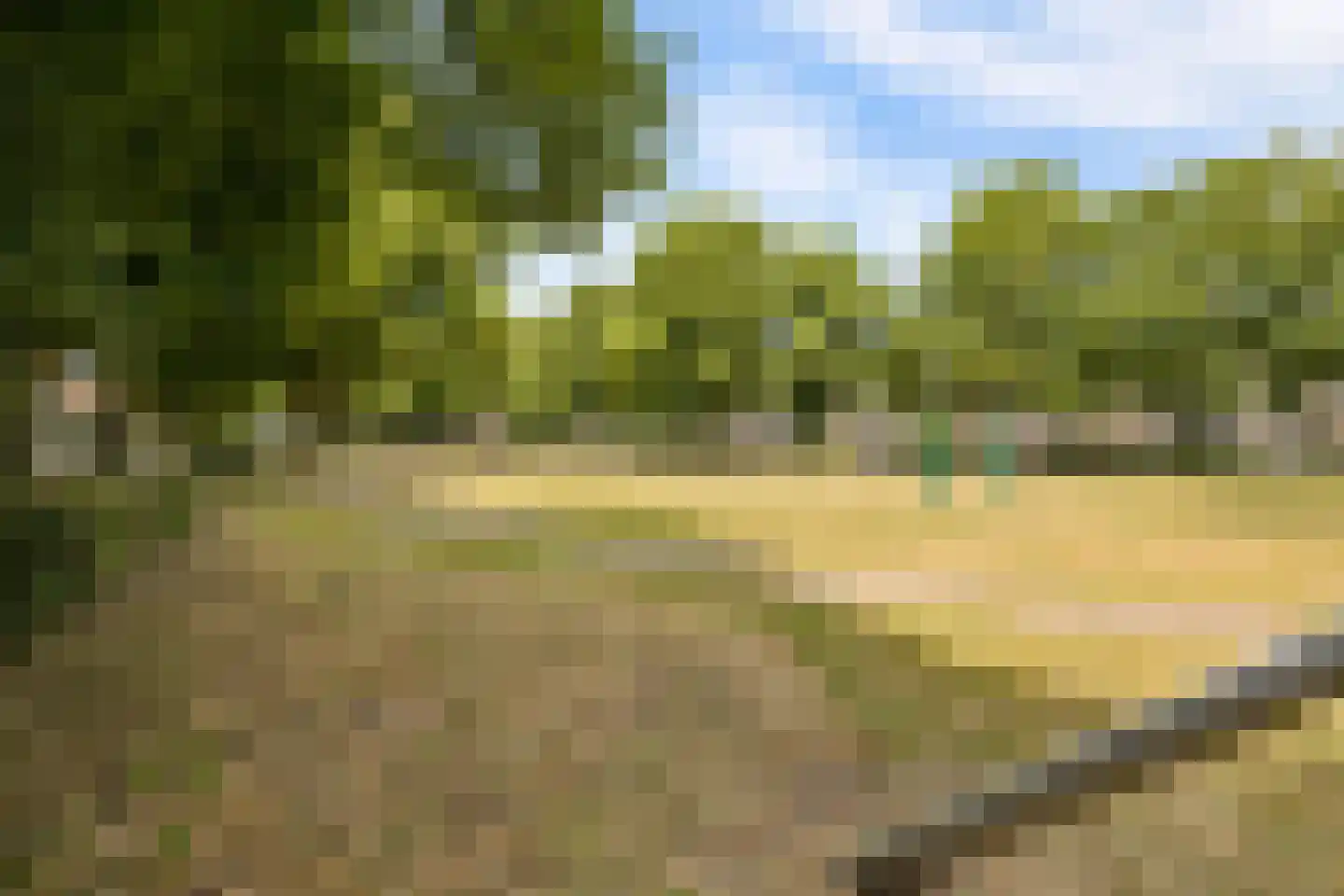 Esdoornstraat 5 Utrecht thumbnail 36