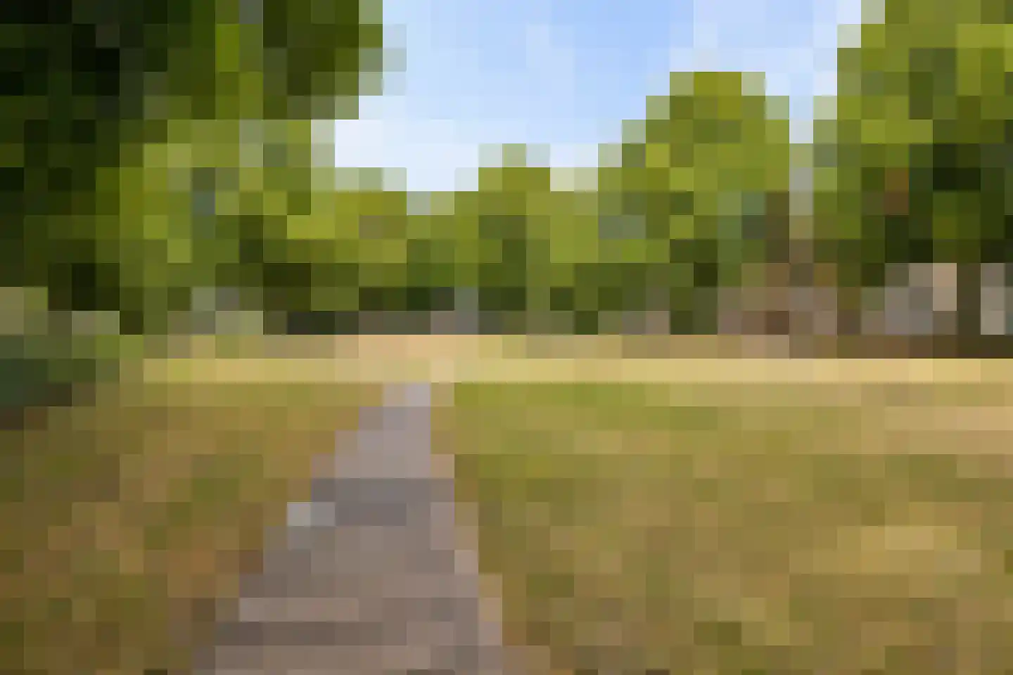 Esdoornstraat 5 Utrecht thumbnail 37