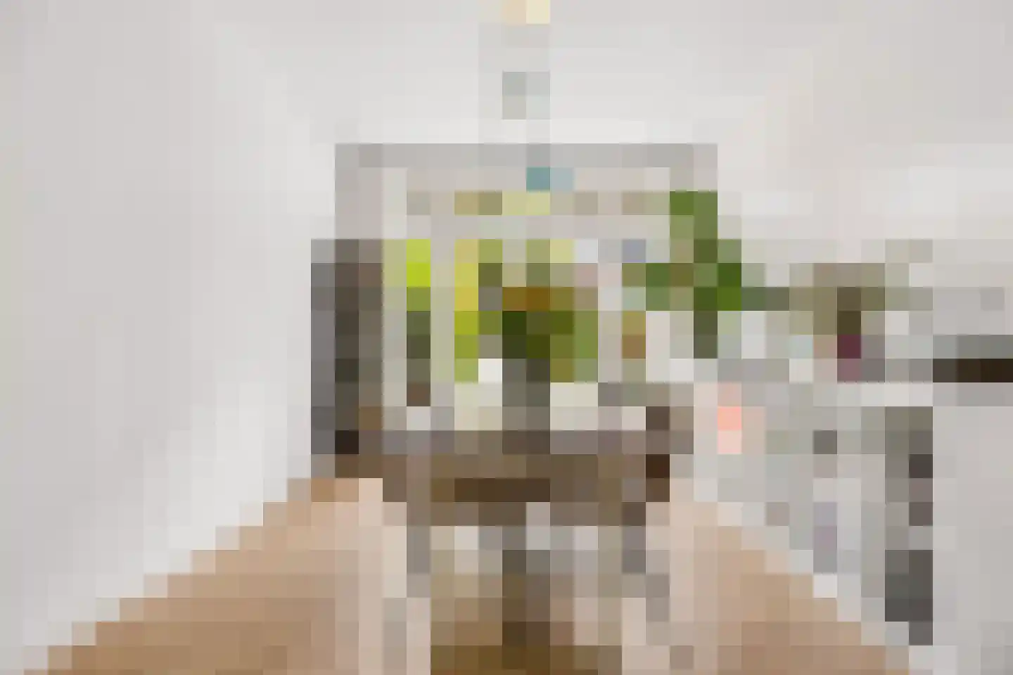 Esdoornstraat 5 Utrecht thumbnail 9