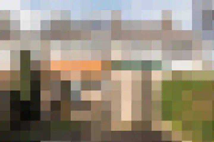 Esdoornstraat 50 Schagen thumbnail 24