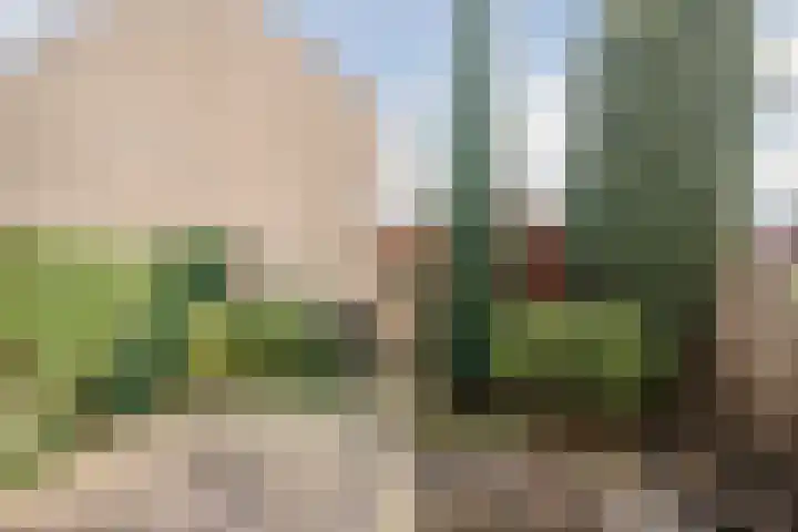 Esdoornstraat 50 Schagen thumbnail 26