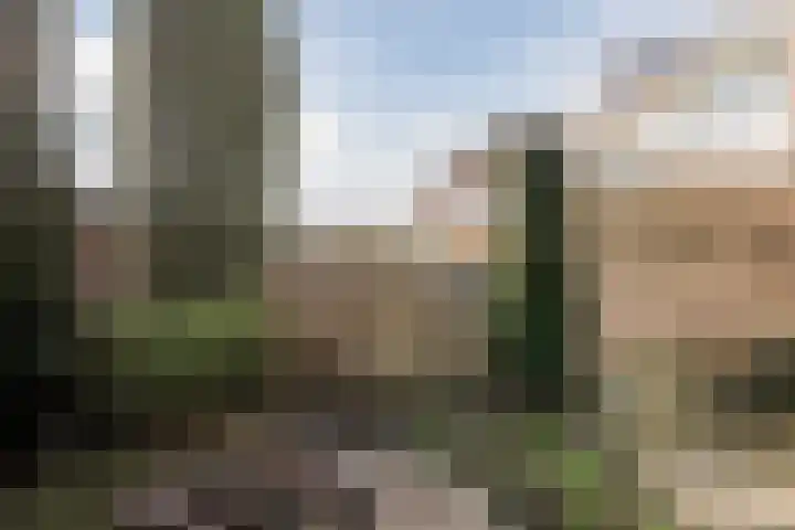 Esdoornstraat 50 Schagen thumbnail 27
