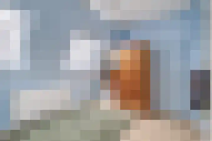 Esdoornstraat 50 Utrecht thumbnail 36
