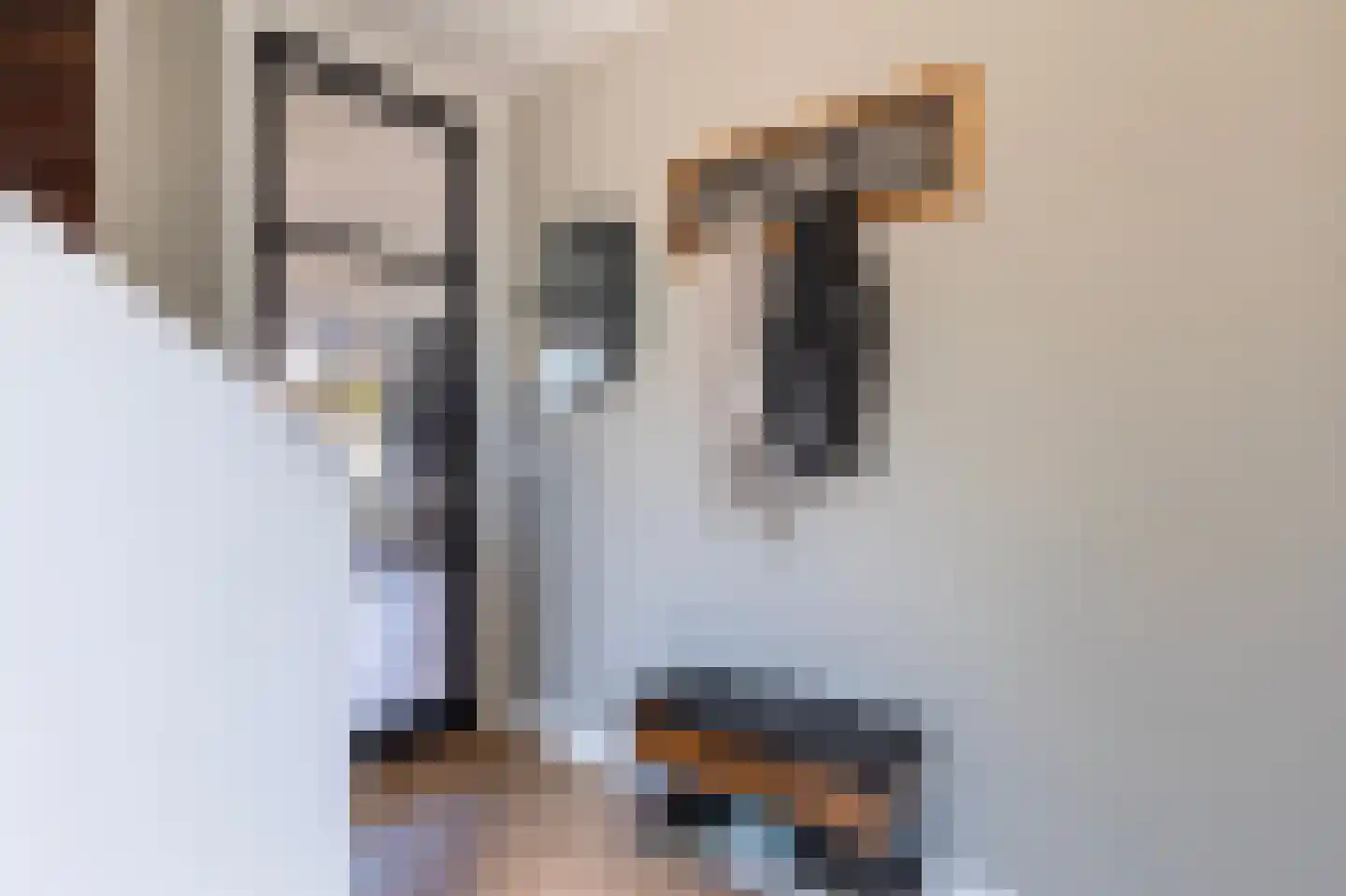 Esdoornstraat 51 Schoonhoven thumbnail 24