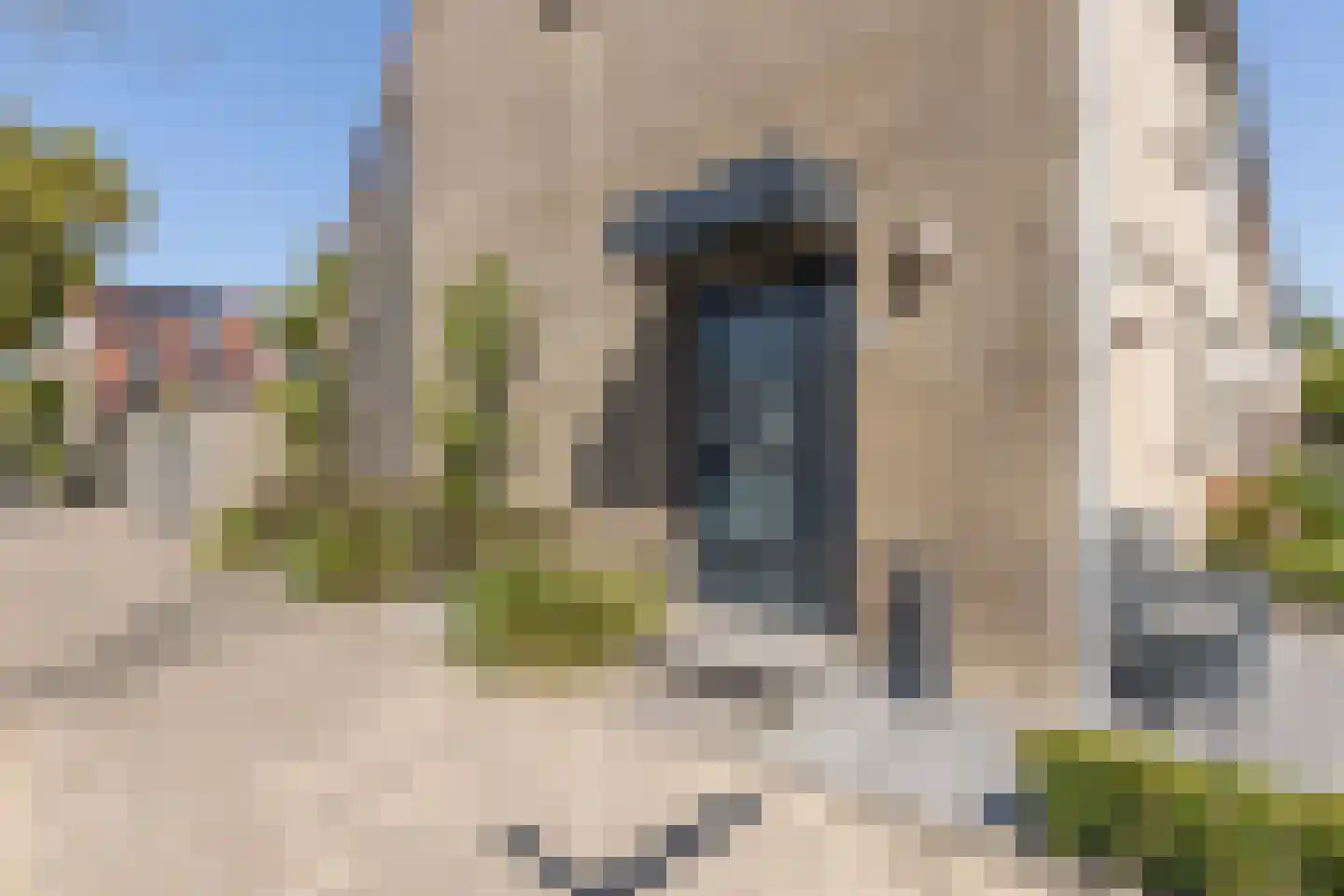 Esdoornstraat 51 Schoonhoven thumbnail 53