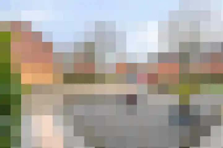 Esdoornstraat 53 Raalte thumbnail 28