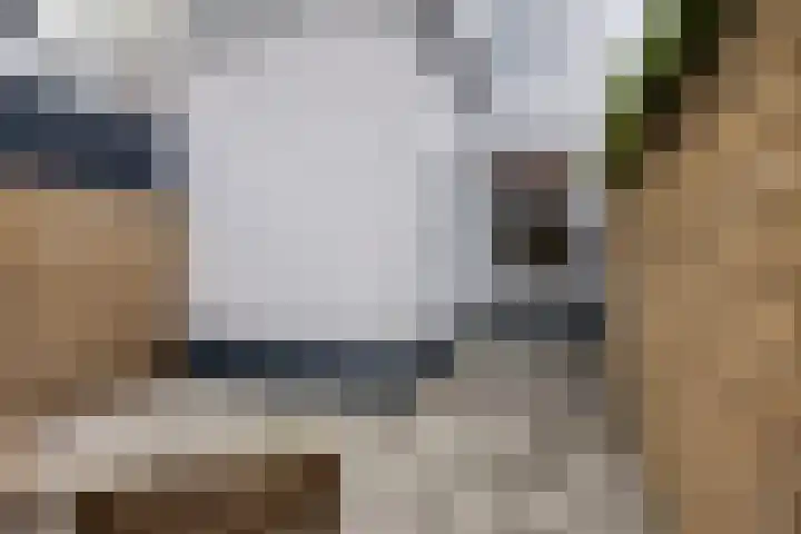 Esdoornstraat 55 Utrecht thumbnail 20