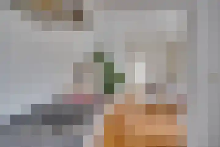 Esdoornstraat 55 Utrecht thumbnail 21