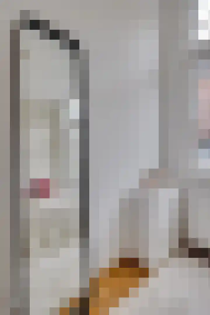 Esdoornstraat 55 Utrecht thumbnail 8