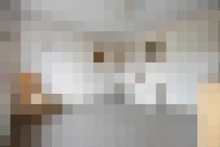 Esdoornstraat 56 Bemmel thumbnail 36