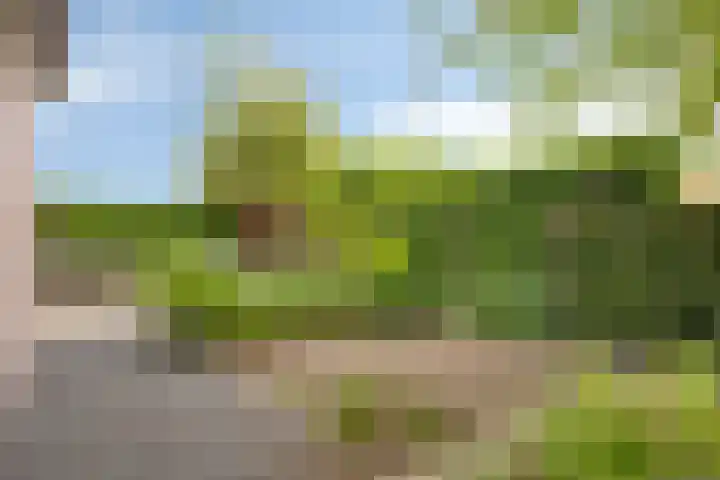 Esdoornstraat 57 Haastrecht thumbnail 39