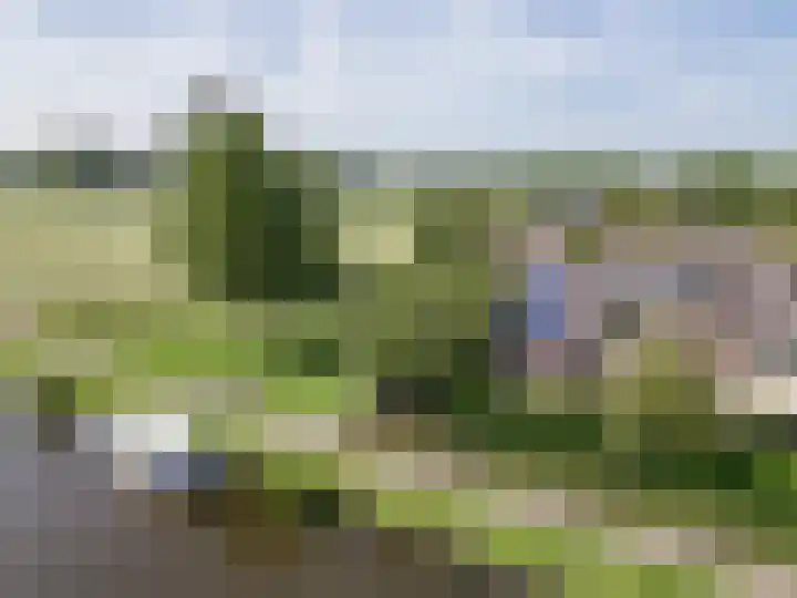 Esdoornstraat 57 Haastrecht thumbnail 5