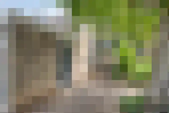 Esdoornstraat 57 Haastrecht thumbnail 9