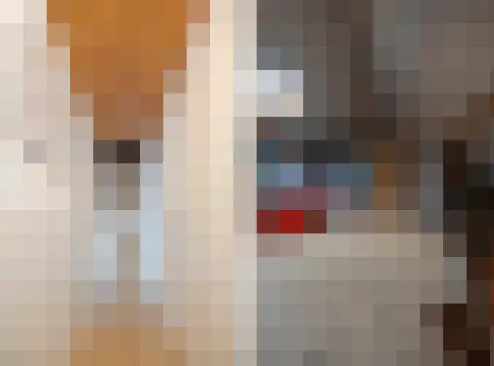 Esdoornstraat 58 Bemmel thumbnail 44