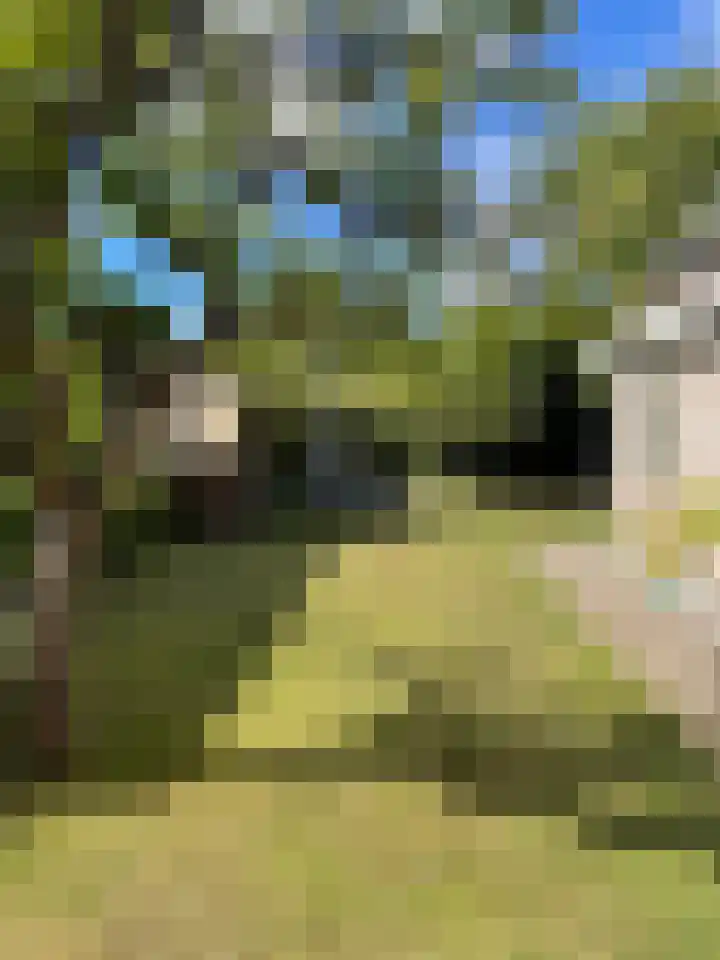 Esdoornstraat 6 's-Gravenpolder thumbnail 24